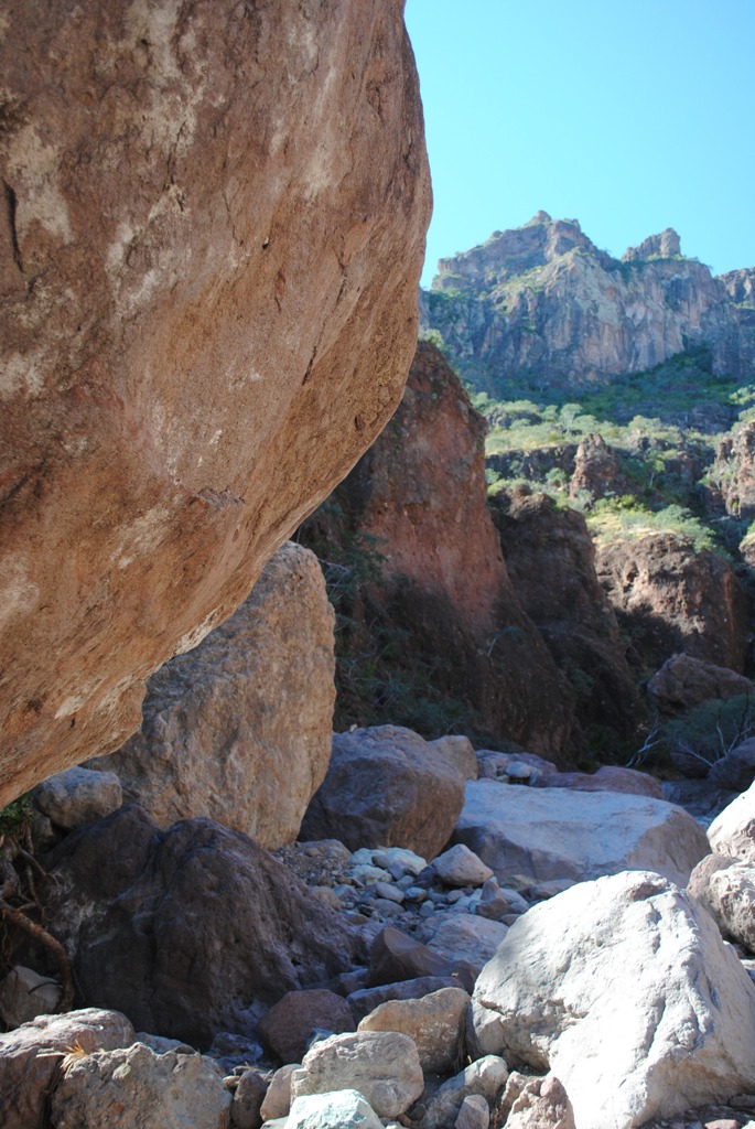 Scrambling up the canyon we found some awesome boulders and trees to climb, stoked to use some different muscles.