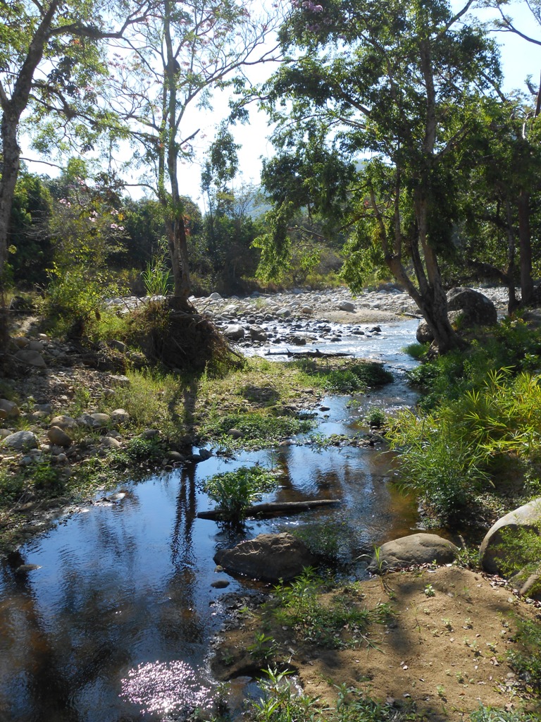 DSCN0476
