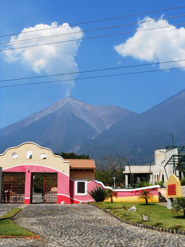 DSCN0891